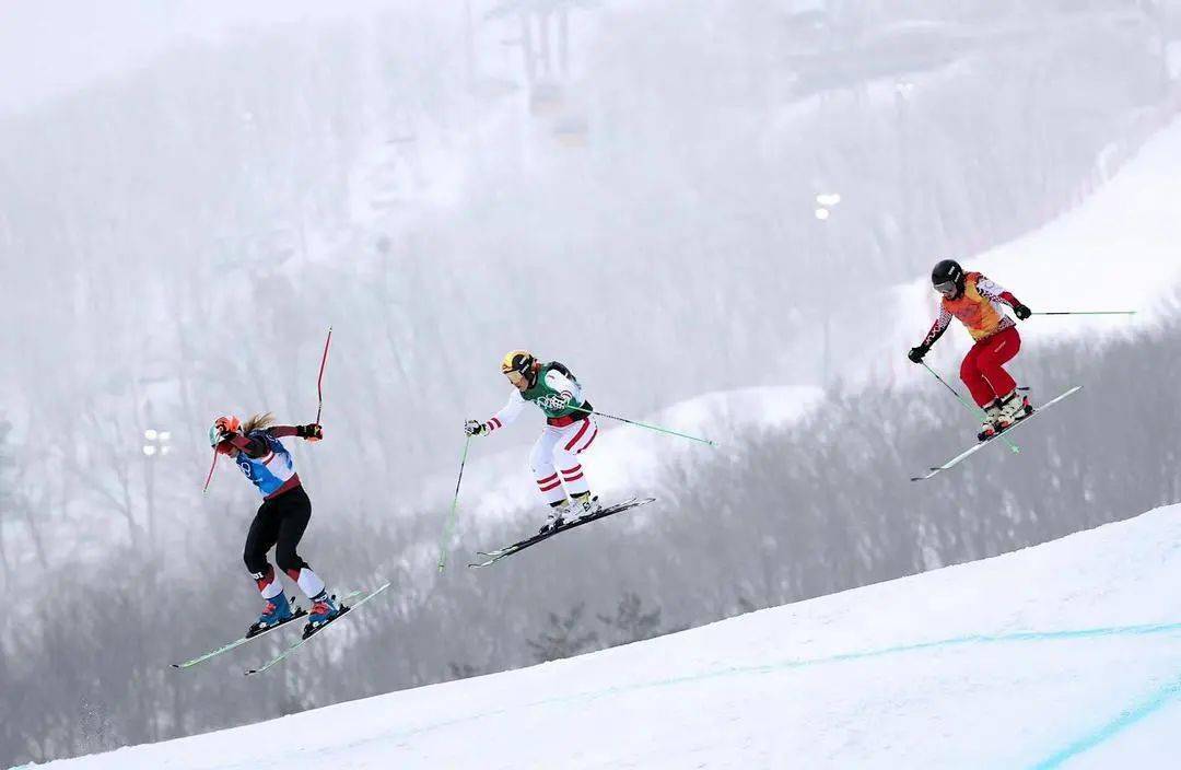 冬奥项目化运动图片