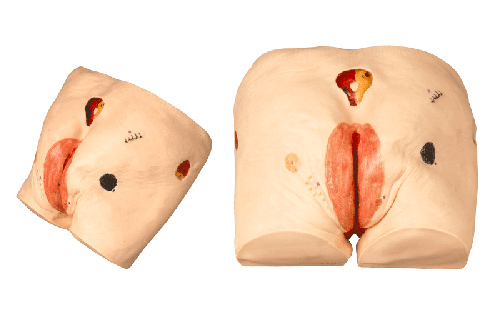 36b09d5e6e334c50baac316c169d3a0a.png