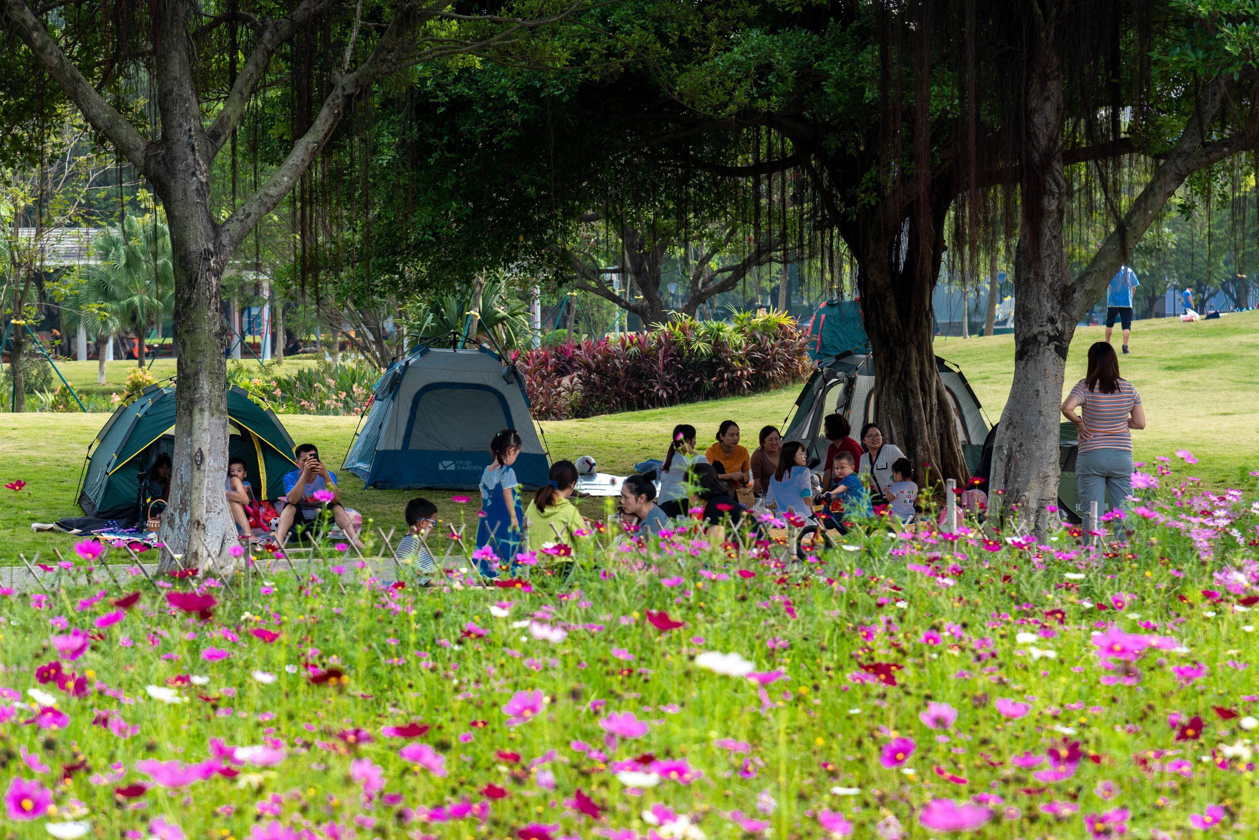 广州|“家门口”搭帐篷野餐去！广州黄埔帐篷区域试点公园增至5个