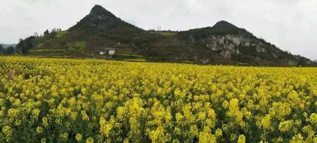 地址:六枝特區木崗鎮抵簸村,距六枝城區1小時車程.