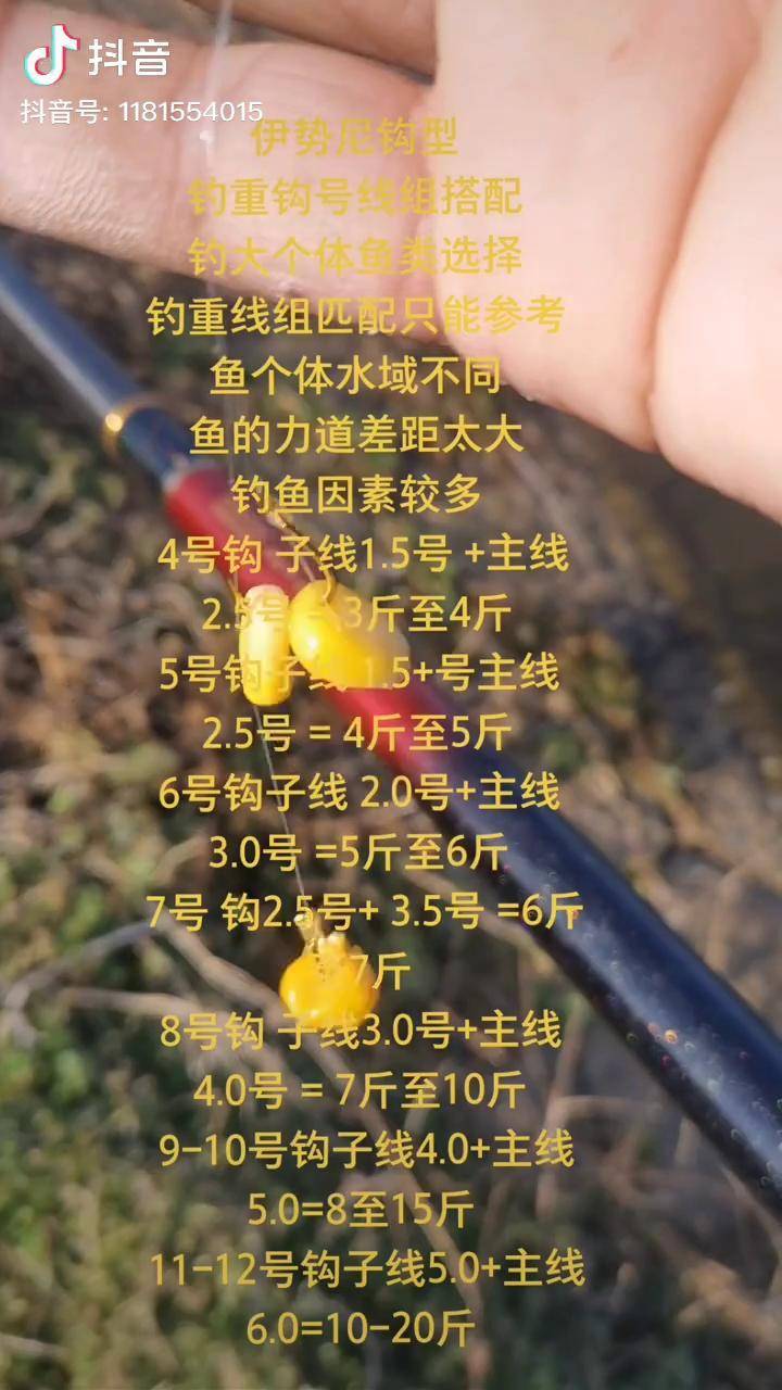 伊勢尼魚鉤釣重鉤號線組搭配僅供參考大鉤釣大魚小鉤釣小魚是基本釣魚