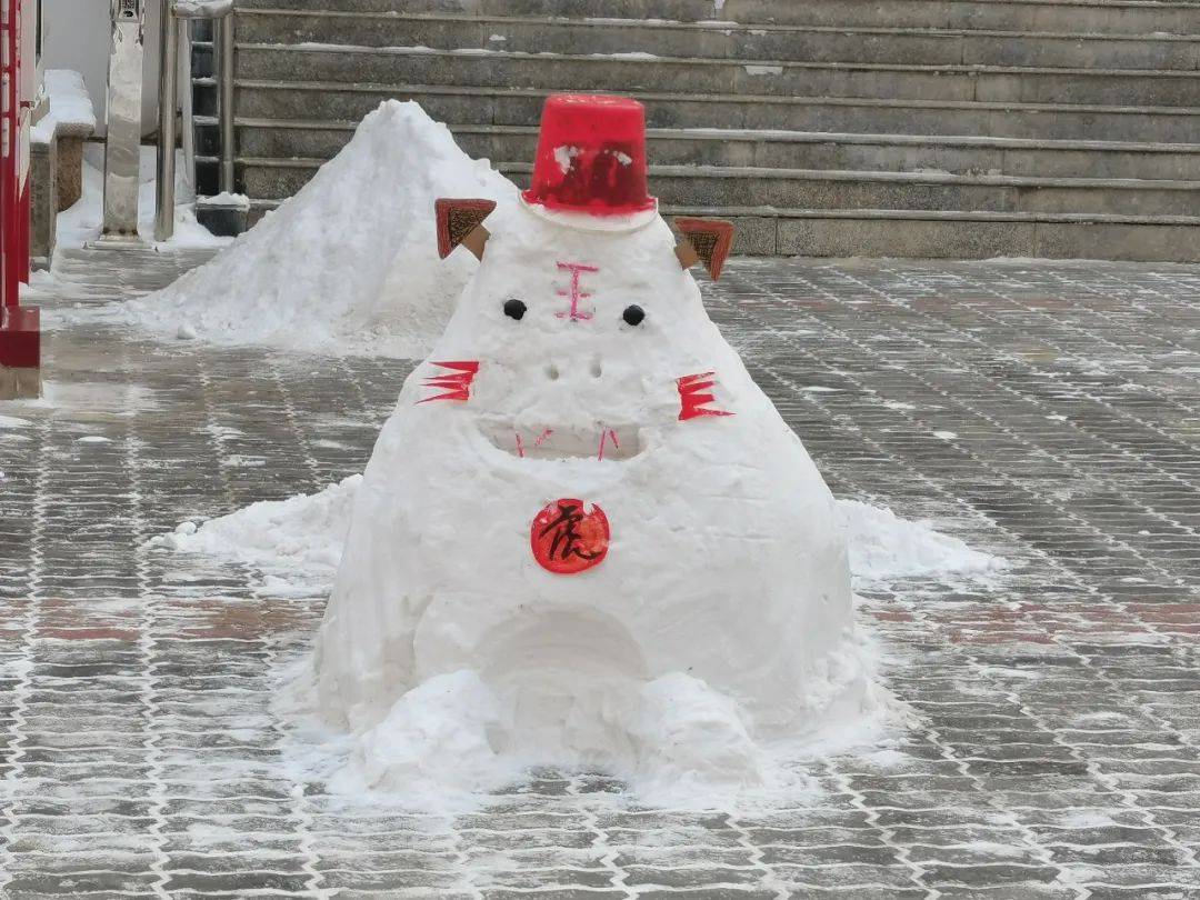 积雪|银川，全城总动员！