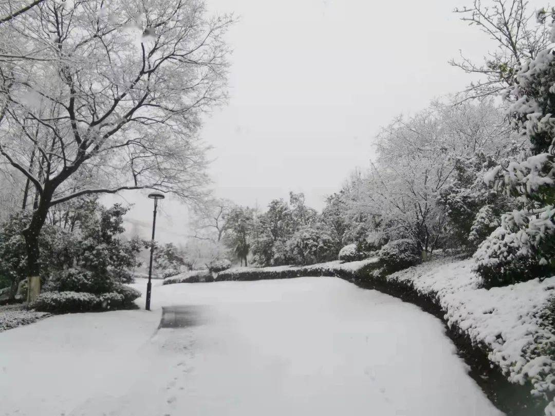 返工后的第一场雪，格外大～