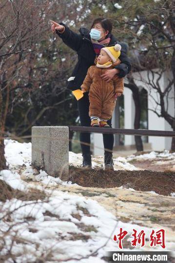 风情|看过来！雪后南京别有风情