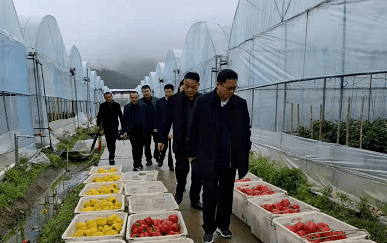 春节假期,吴建平率队外出招商!