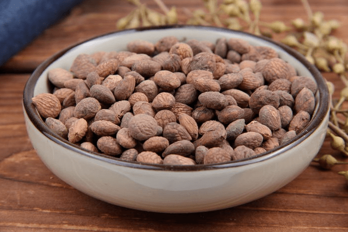 每天学一味中药,蕤仁!_圆形_褐色_棕色