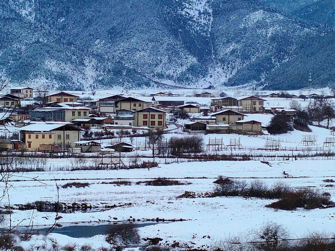 拍摄者:李竞若小中甸镇被誉为香格里拉市的"前花园",一年四季,"花"开