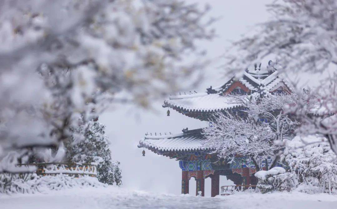 秣陵雪图片