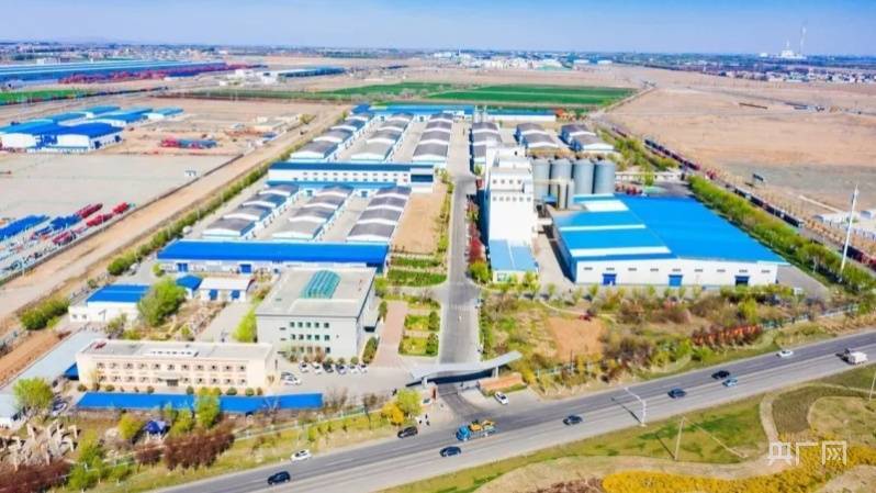 新疆面粉品牌排行榜_“新疆面粉”系列产品面世(2)