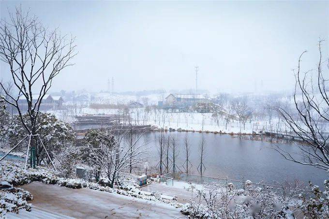 迟来的美照雪中的大厂桃湖公园太子山公园晓山转盘