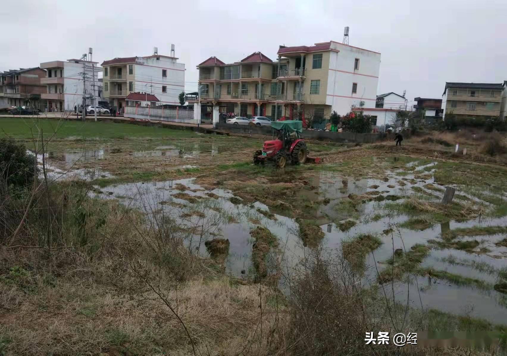 抚州市临川区罗湖镇在抓好常态化疫情防控的同时,有序推进春耕备耕