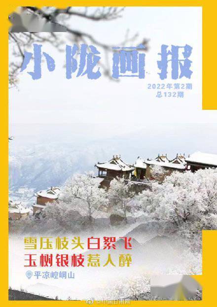 银枝|甘肃平凉：雪压枝头白絮飞 玉树银枝惹人醉