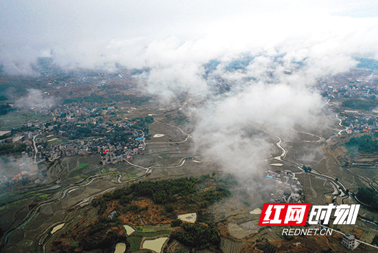 三井镇|新田：雾漫山乡画卷美