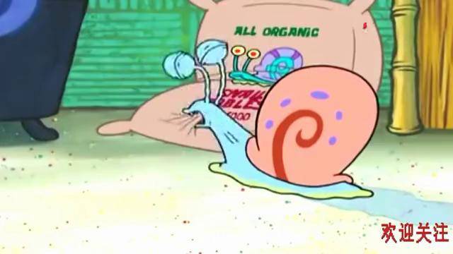 海绵宝宝派大星照顾小瓜小瓜看起来好可怜为什么会这样