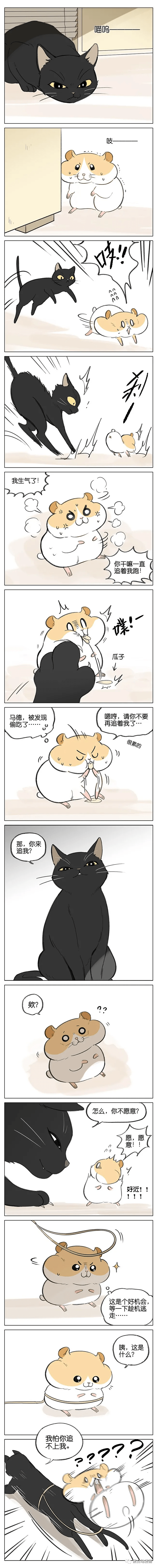 猫和仓鼠间的爱情(漫画)_吉川流_仓鼠_漫画