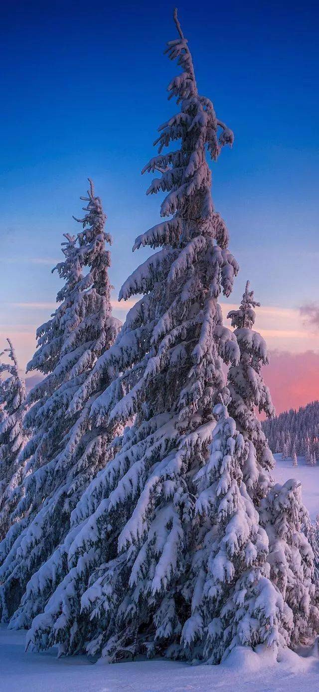 手机壁纸风景壁纸