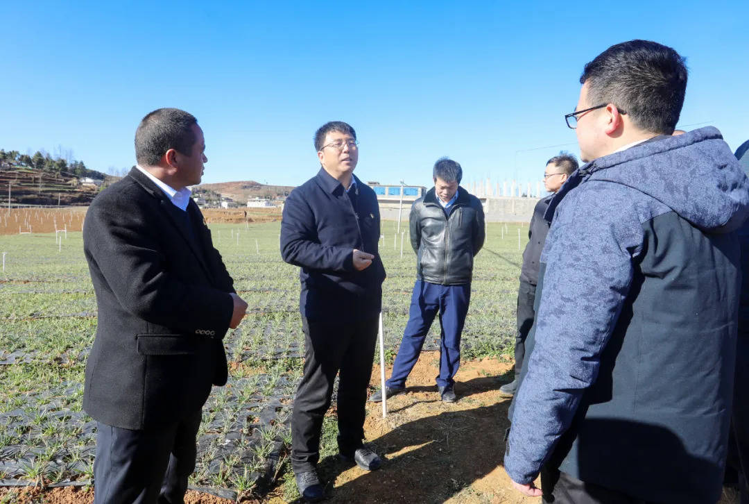 胡敬斌到草海小海等乡镇调研春耕备耕和蔬菜产业发展工作