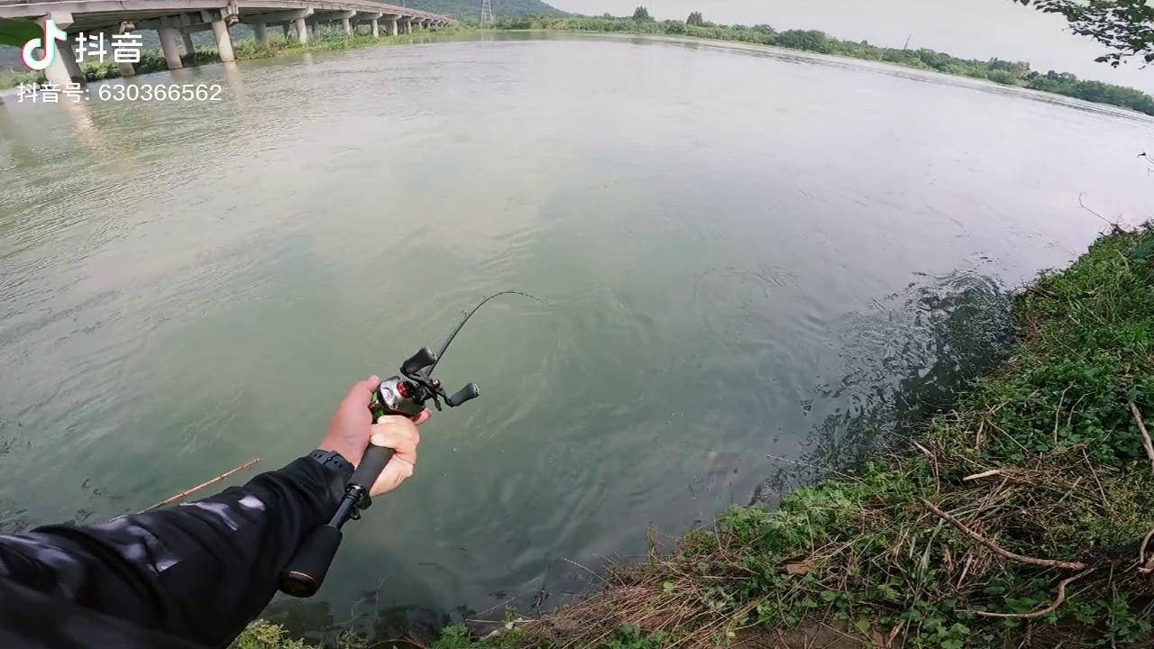 鱖魚季來了走起兄弟們路亞鱖魚野釣路亞