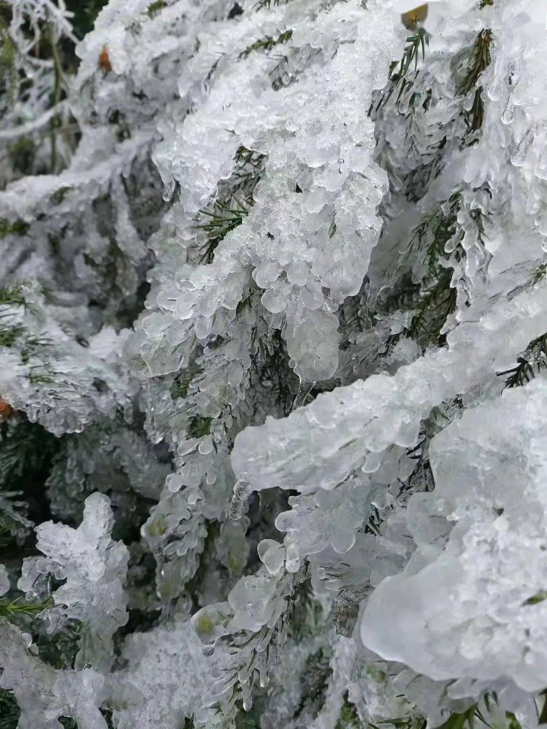 "冰墩墩"——井冈山黄洋界_冰雪_盛宴_邂逅