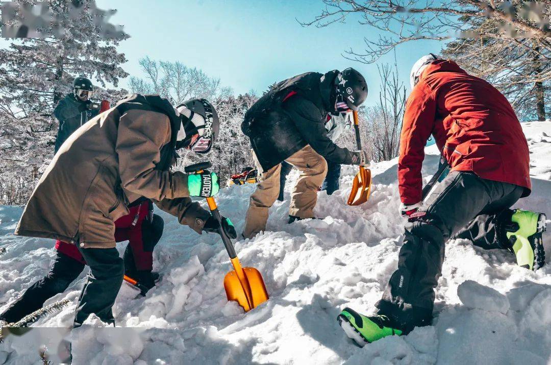 雪崩伙伴图片