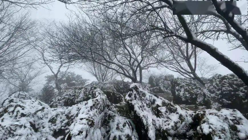 云龟山上赏雪玩雪,大家纷纷拿出照相机和手机,记录这眼前的美丽雪景