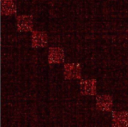 反转|一文读懂深度学习中的各种卷积