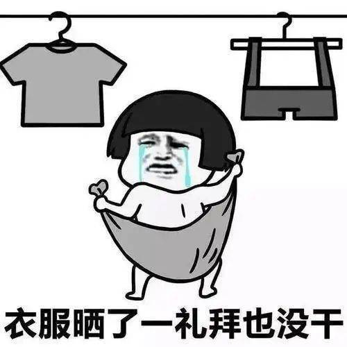 d7af3fd86a9c44db95cb34e5784f0fd0.jpeg