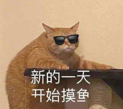 ec0e90525194485fb42f0fc11a2ddcb4.jpeg