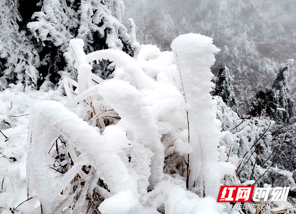 瑶山|邵阳新宁：瑶山冰雪交融 云海曼妙绝美