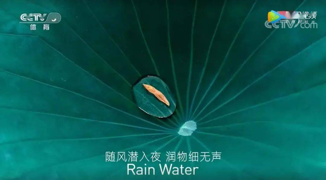 24节气倒计时 09886b0b53a34019a1c725fa95b3cdcf.jpeg