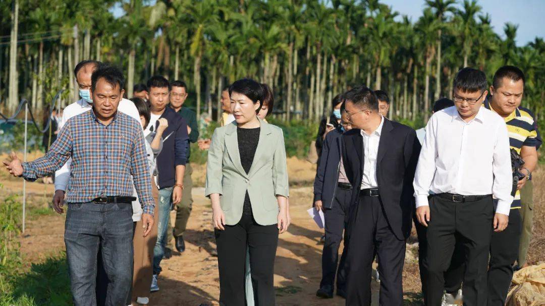 在海南中科奇楠沉香繁育有限公司,凌云一行实地察看奇楠沉香种质选育