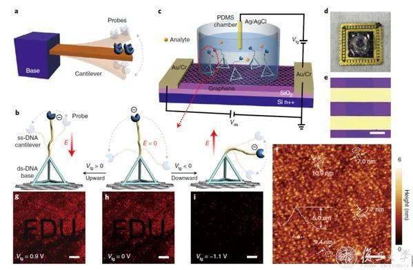 4分钟出核酸结果！这一高校，取得新突破！