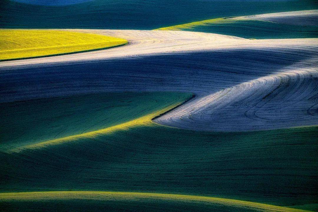 美无处不在看看摄影师如何表现自然界中的抽象美