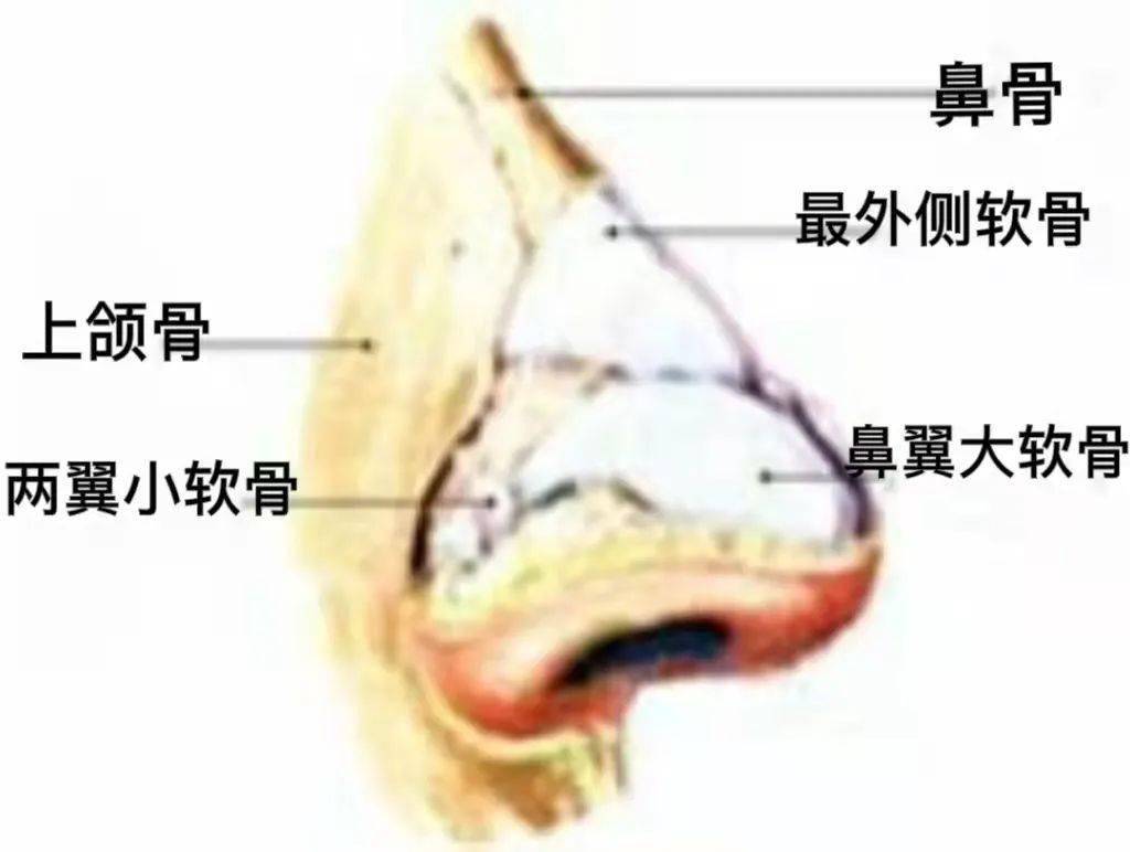 f765b932f4a74ff78d298ef8aa1d06f5.jpeg