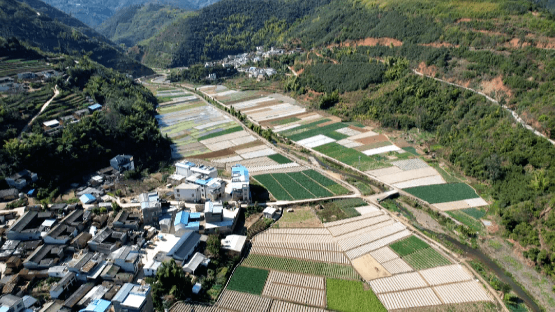 新城乡:立足"早"字备春耕 不误农时不负春_种植_村民_石屏县