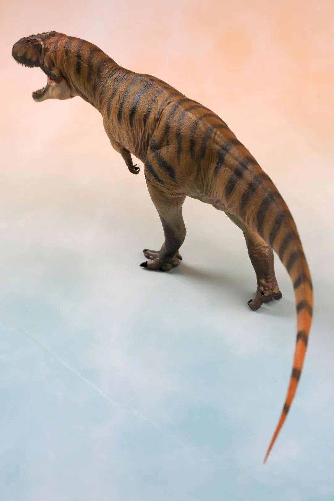 一入龙门深似海,从此银子是路人(pnso剑龙/三角龙/鲨齿龙)_恐龙_模型