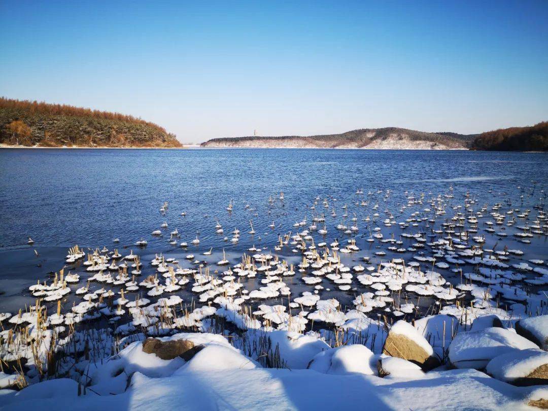 快来找寻你的故事吧!_蔡华明_净月潭_青春
