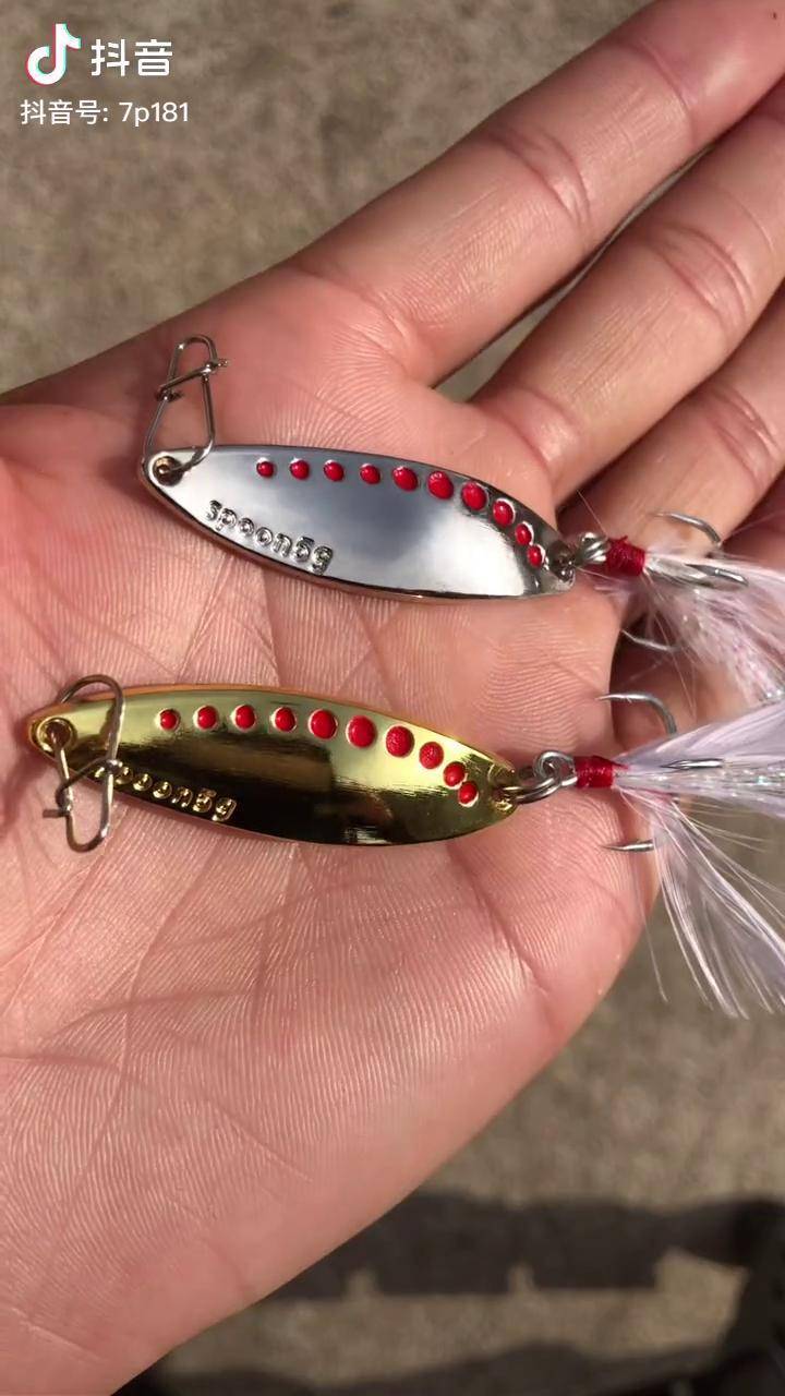 水蛭亮片一款比较通杀的假饵全水层抛的也远大小通杀无论新手老手都