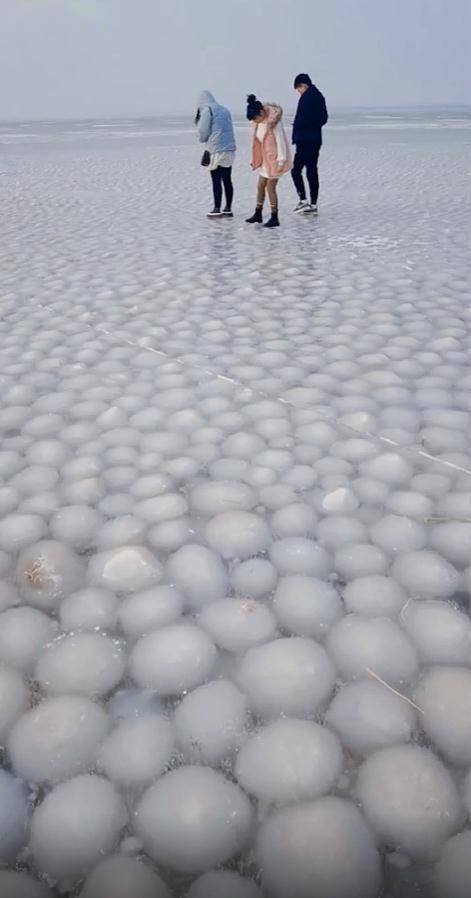 洮南|吉林四海湖现“汤圆”湖面！网友：太应景了