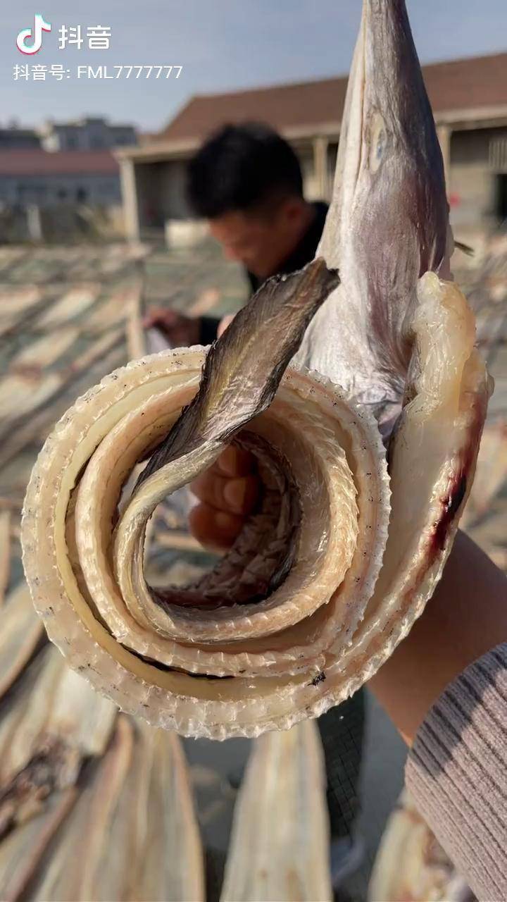 源头好生鲜渔民日常天然海鲜海鳗鱼七成干五斤发货