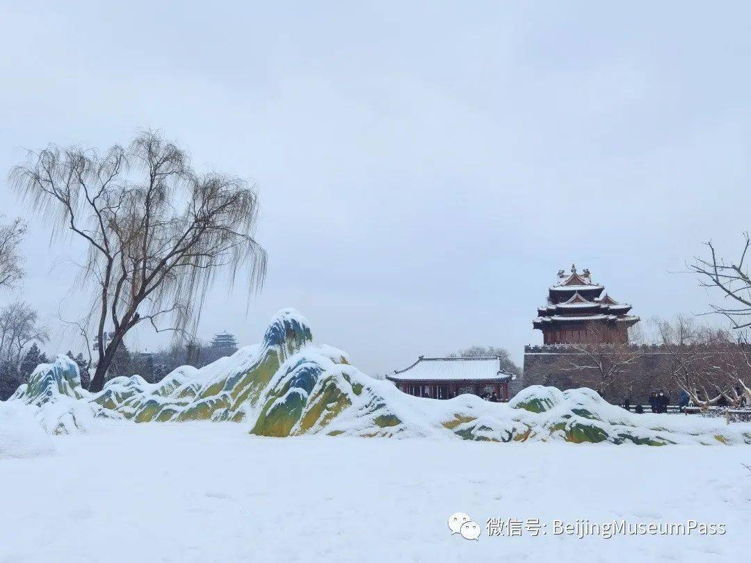 2022北京春雪图片图片