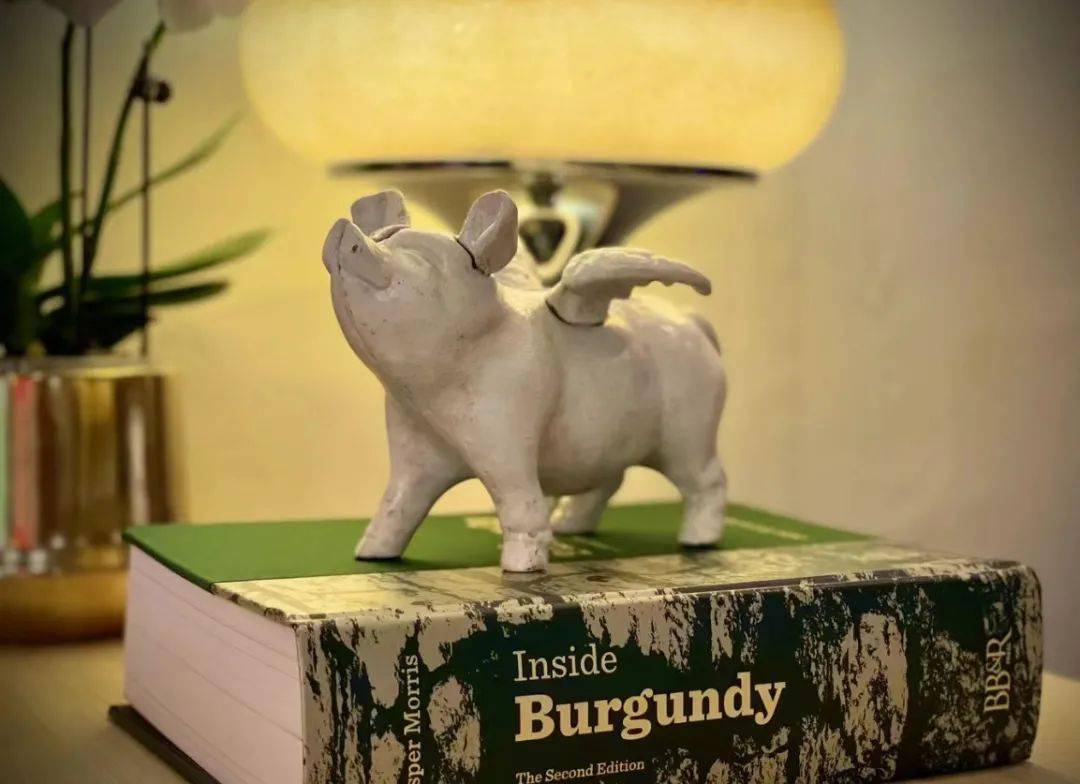 菜品6家超适合约会的餐厅！人均百元，氛围感满分