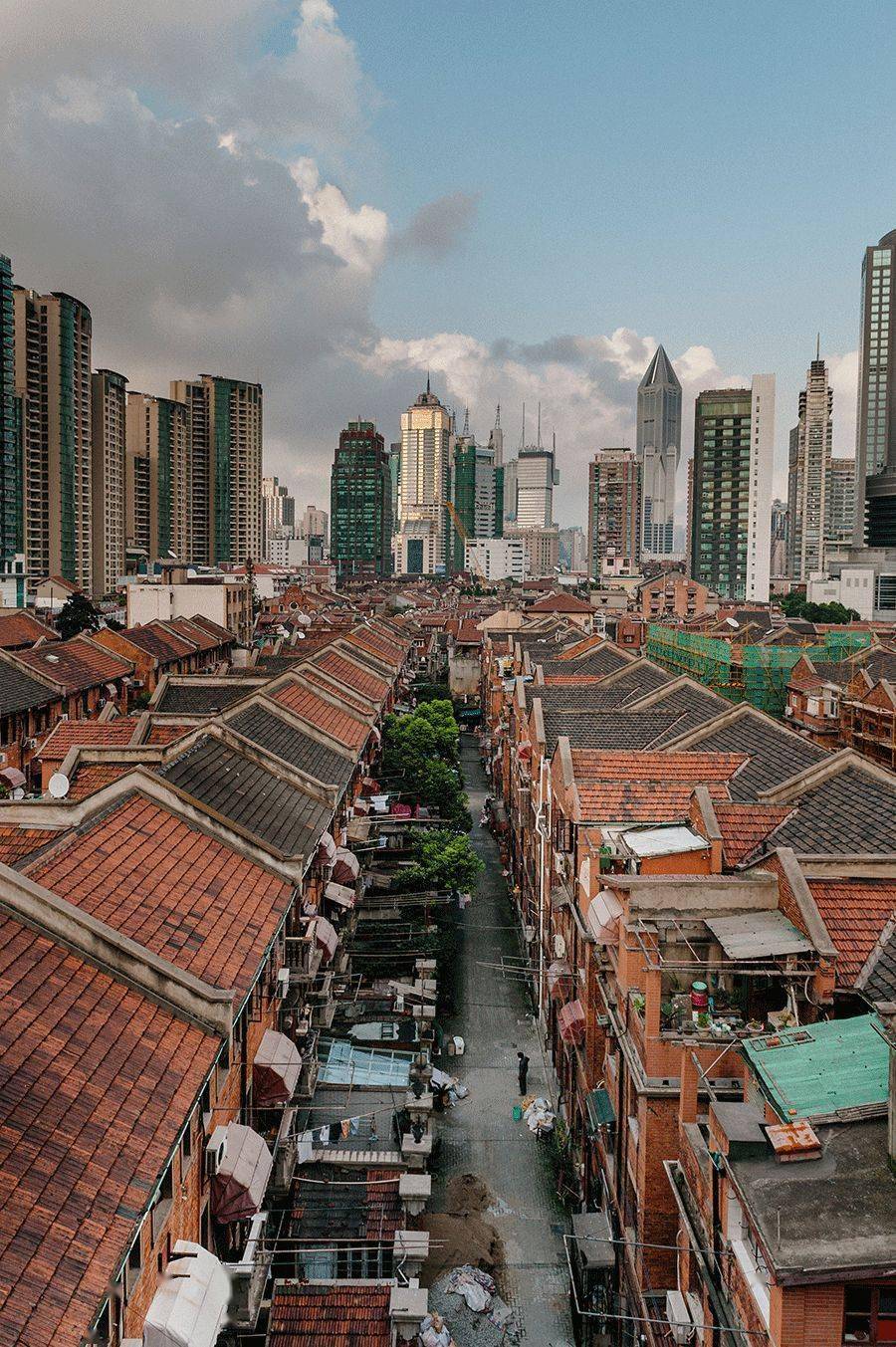 被伪精致毁掉的上海_生活_城市_人们