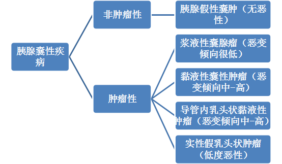 491ade098e5d416ab725037c9619c0cd.png