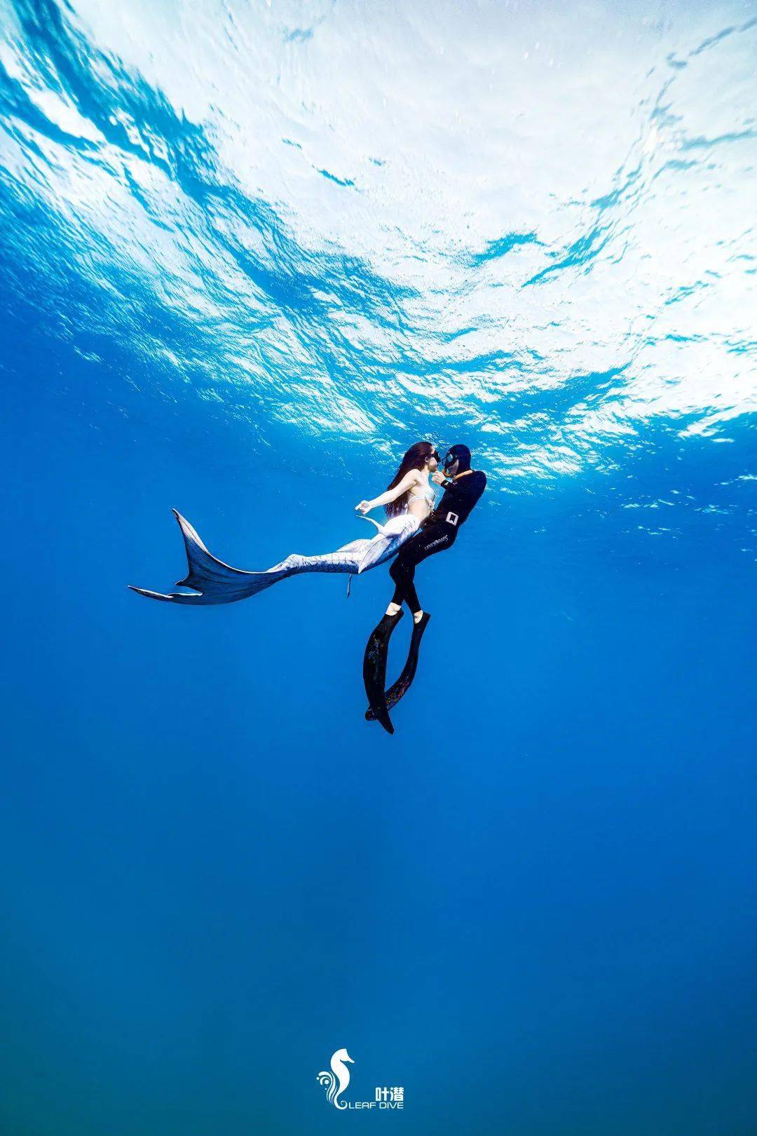 潜水员专属浪漫我的男友是padi教材封面人物