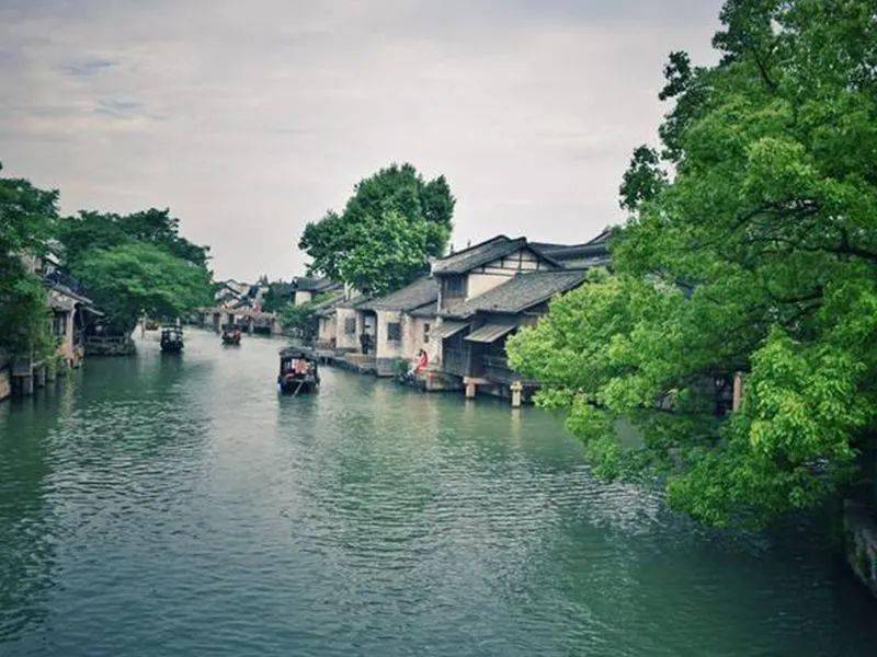 醉美江南烟花三月下扬州千岛垛田油菜花李中水上森林瘦西湖大明寺无锡