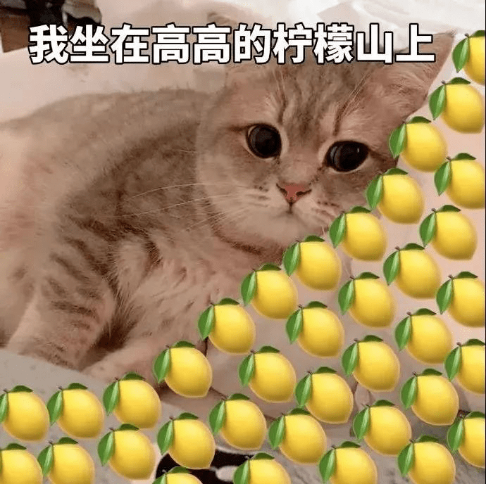 微积分|情人节,各科APer学霸们都是这样表白的...