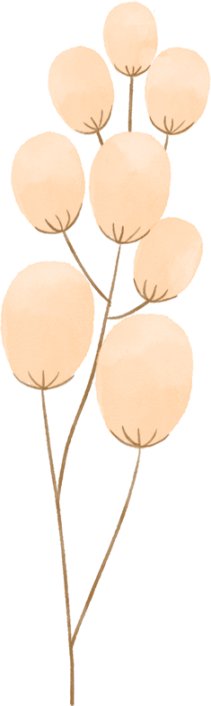 焰火|出行丨赏花灯、猜灯谜、看焰火…长沙元宵节活动都帮你安排好了