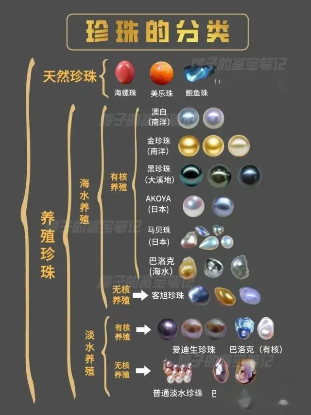 一张图了解珍珠分类