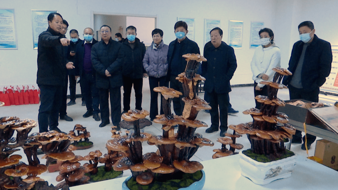 省政协常委,省政协农业和农村委员会副主任张继敬一行到我县调研农村